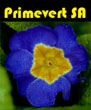 logo-primevert